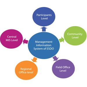 #ManagementInformationSystem